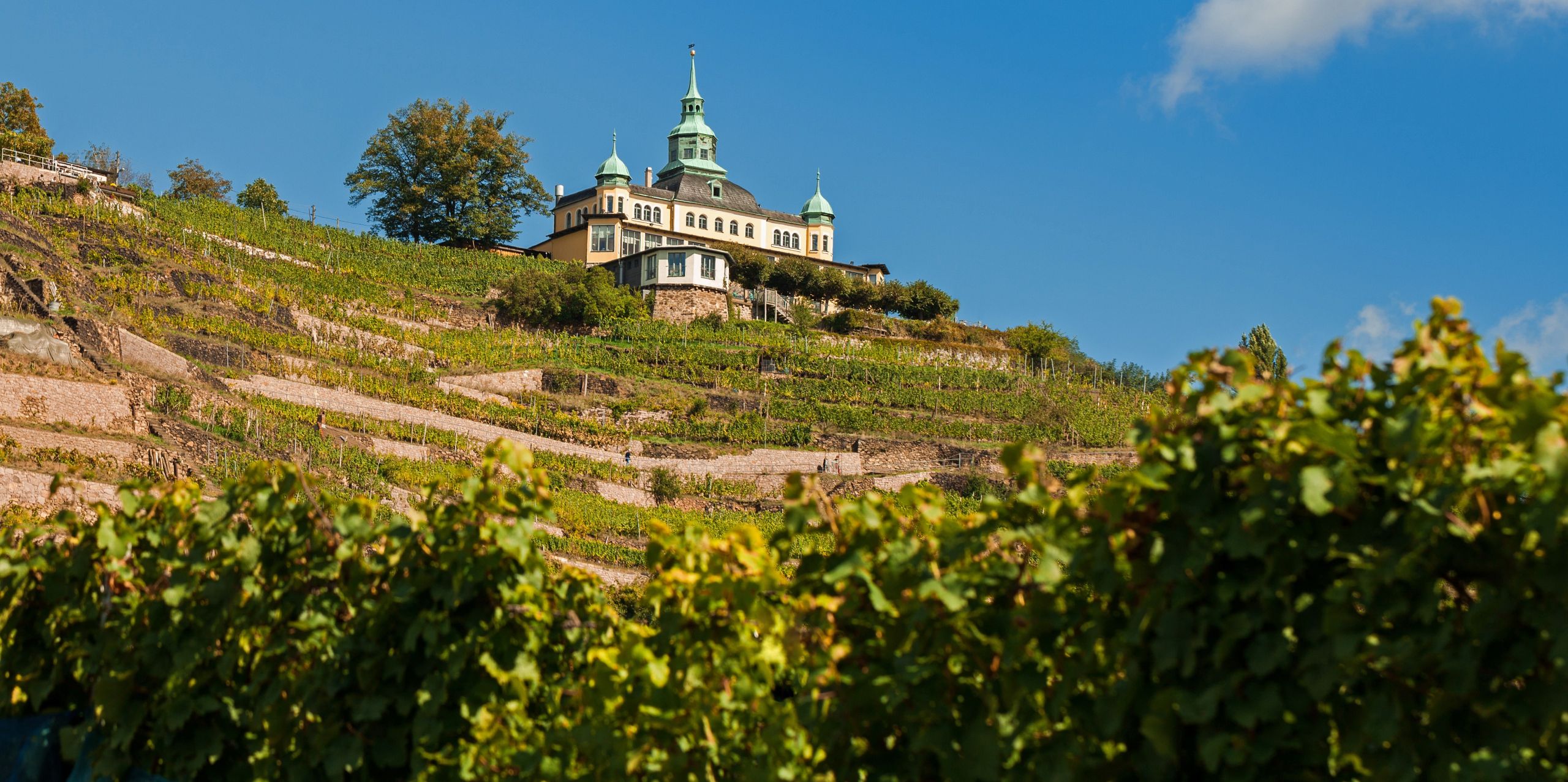 Immobiliensteuerrecht BLOMBERG München